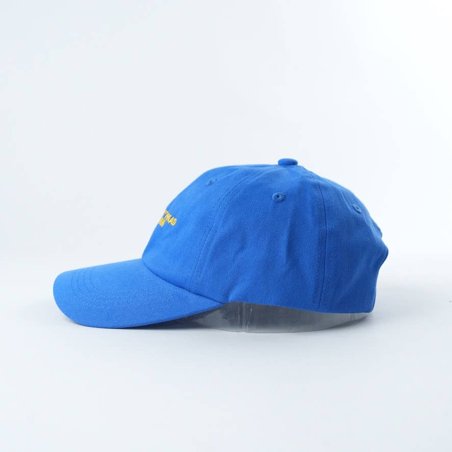 If He Doesn't Read... Bookish Baseball Hat