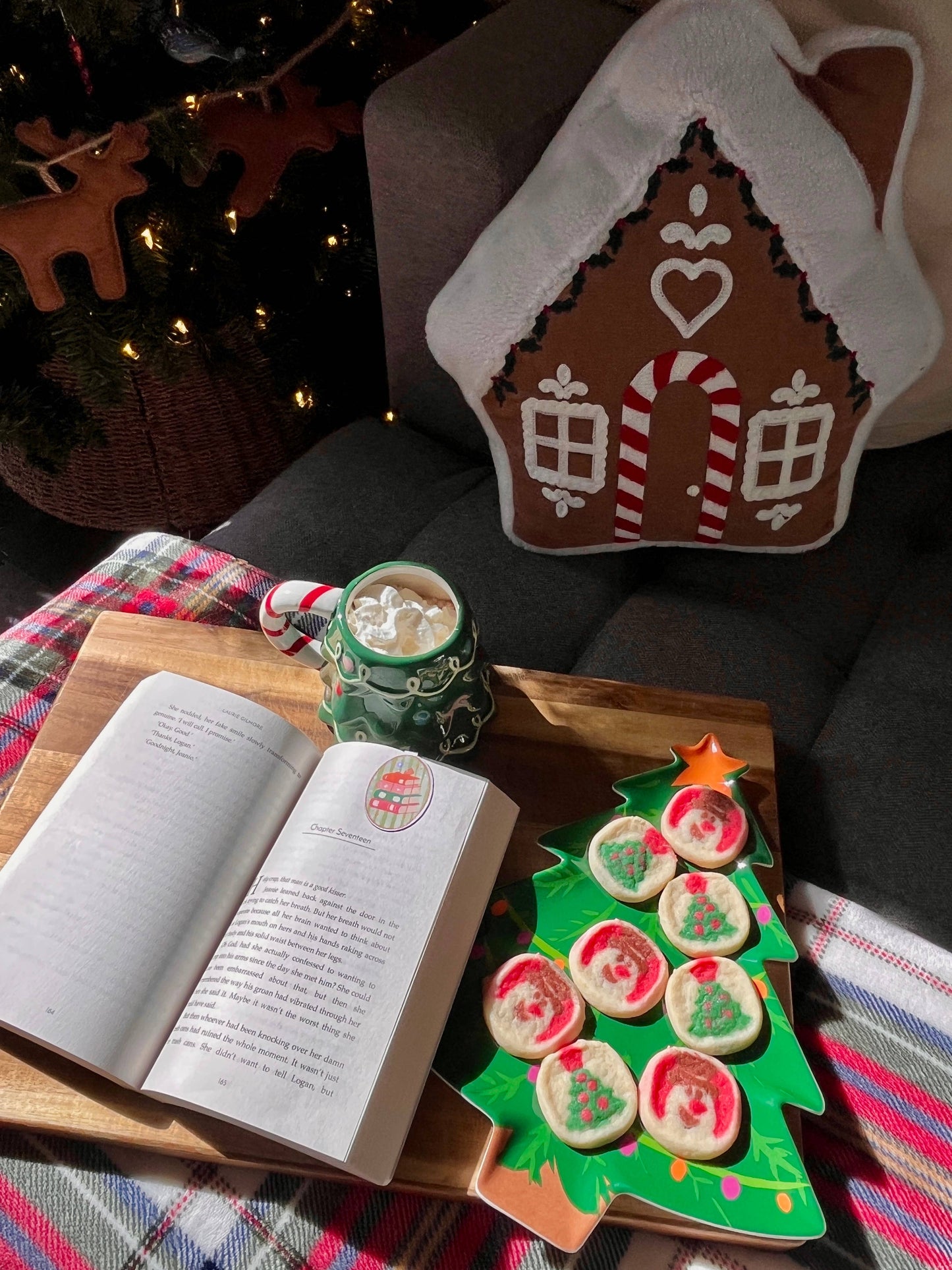 Books for Christmas Magnetic Bookmark