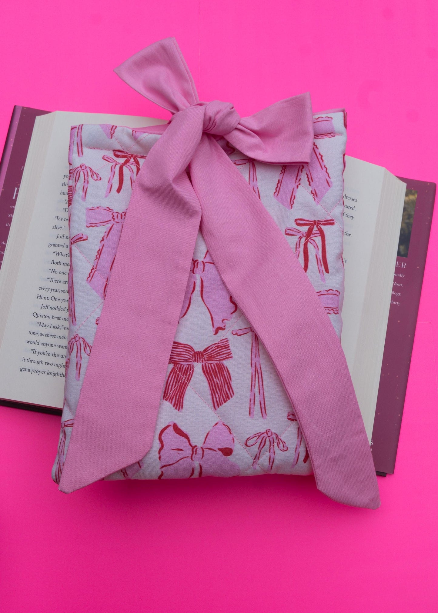 Nehemiah's Quilted Book Sleeve