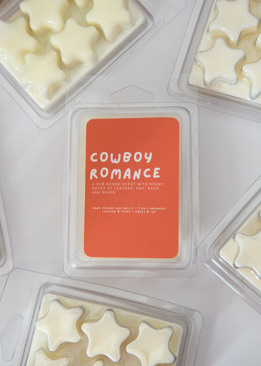 Cowboy Romance: Leather & Suede Wax Melts