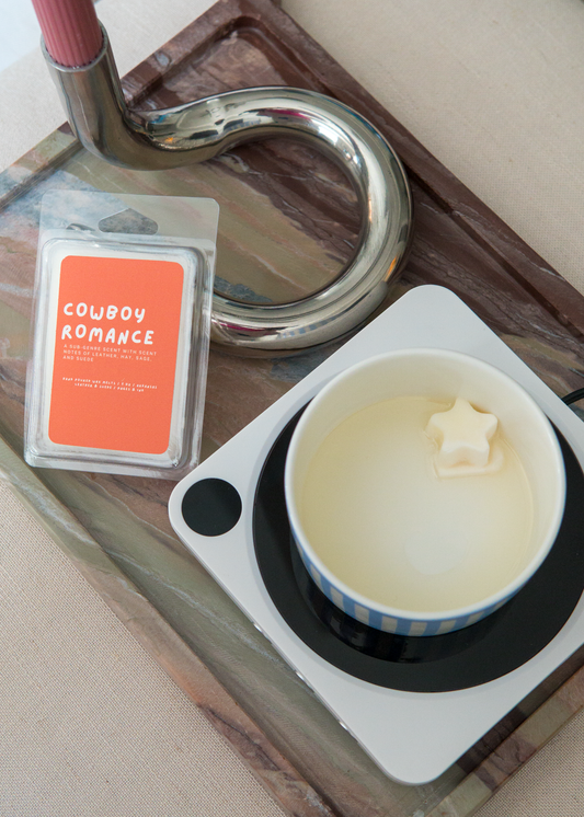 Cowboy Romance: Leather & Suede Wax Melts