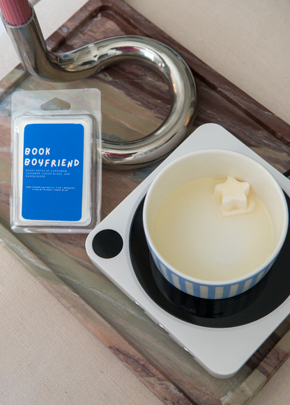 Book Boyfriend: Sandalwood Wax Melts