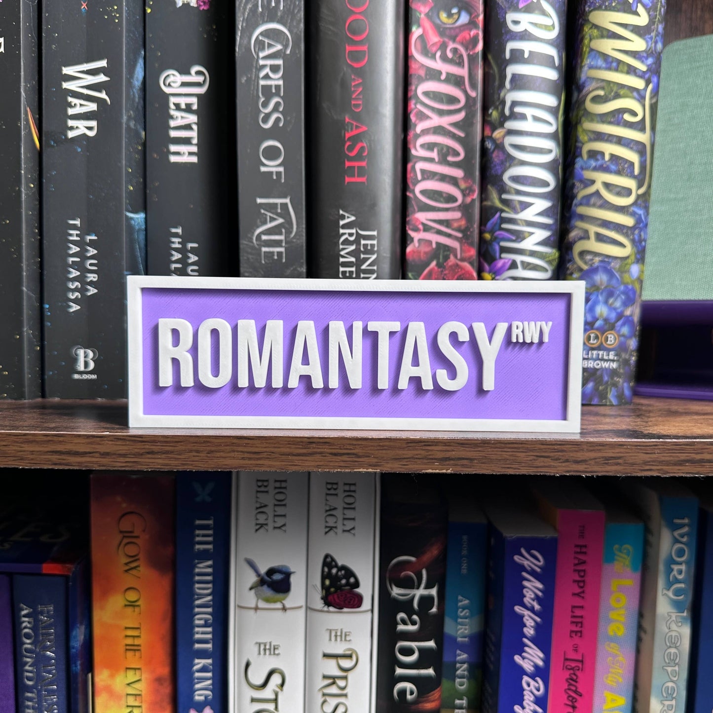 Romantasy Street Sign | Bookshelf Decor